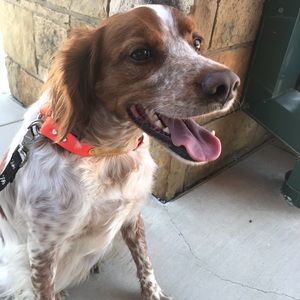 Meet your Posher, Sandi